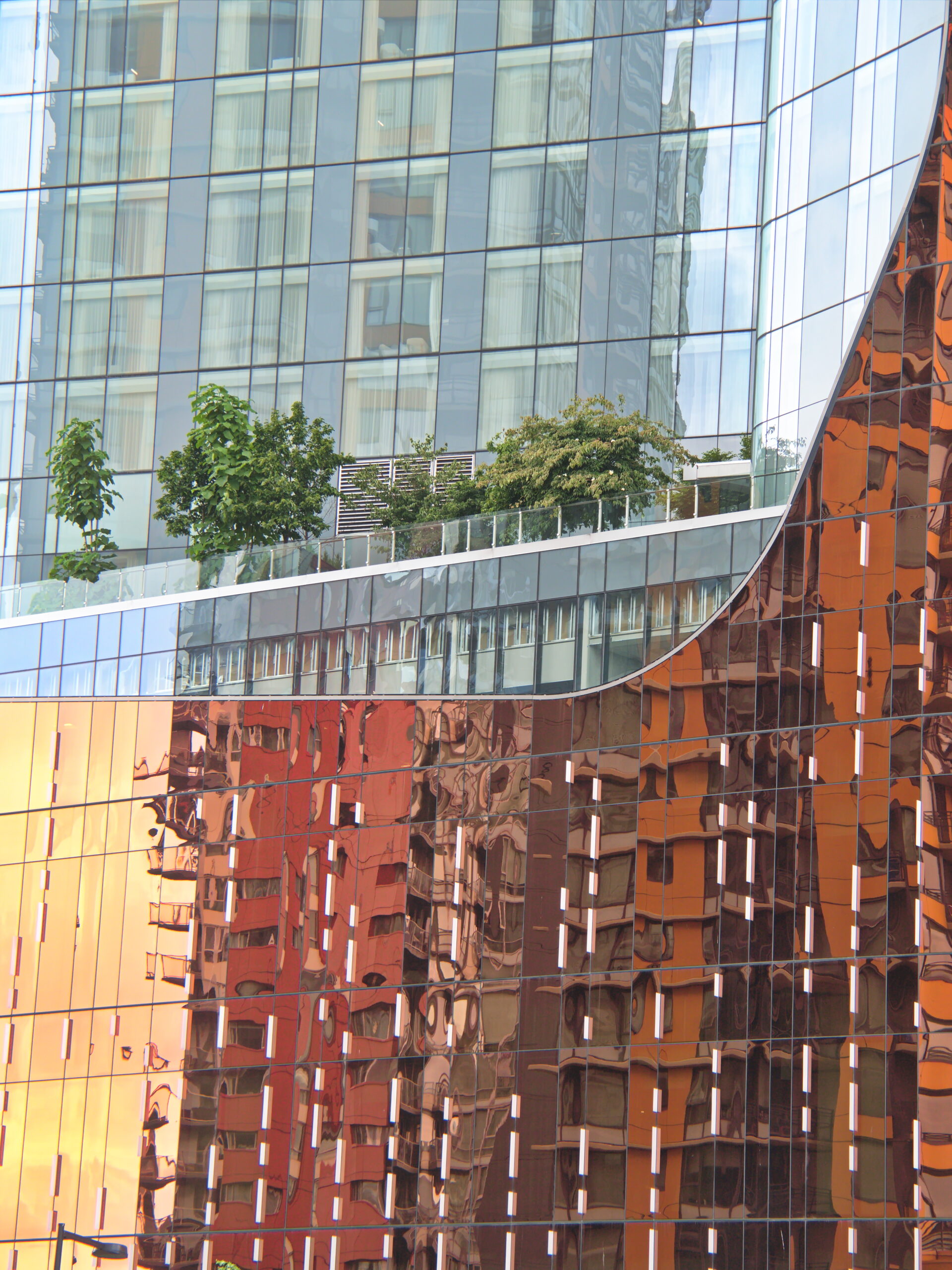 Marketing1on1 Dallas: Leading SEO and Digital Marketing Services